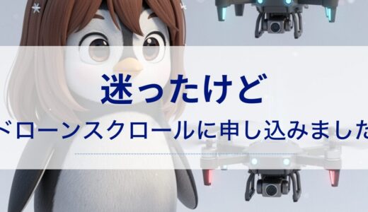 迷ったけど、ドローンスクールに申し込みました。